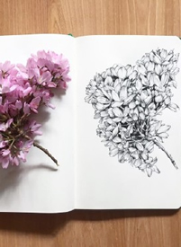 一列9篇小清新花朵植物cq9电子手稿制图案素材