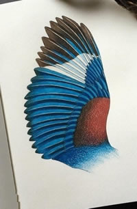 手稿彩绘的翅膀cq9电子制图案