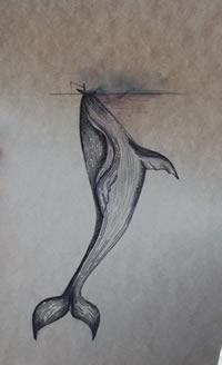 手稿经典的鲸鱼cq9电子制图案