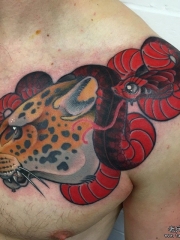 胸部欧美豹头与红色的蛇cq9电子制图案